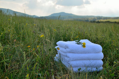 Pile of white towels set on meadow with yellow flowers