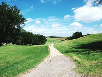 Trees on field against cloudy sky