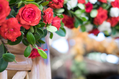 Close-up of red roses