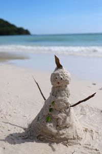 Lizard on the beach