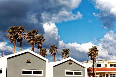 Low angle view of palm trees and building against sky