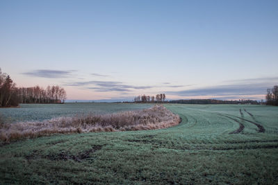 Cool, frozen morning during autumn months. frost over the meadow in northern europe.