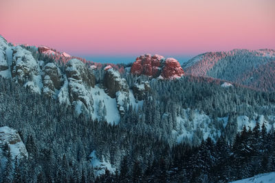 Pine trees on ciucas mountains against sky during sunset
