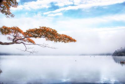 Scenic view of lake against sky during autumn