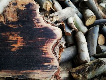 Full frame shot of logs in forest