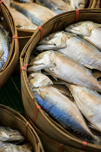 Close-up of fish in basket