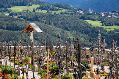 High angle view of trees and buildings in city