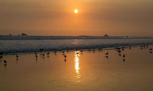 Scenic view of sea against sky during sunset