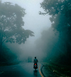 Rear view of man on road by trees