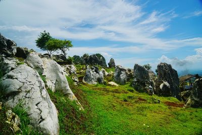 Scenic view of landscape against sky