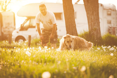 Man looking at dog on field in yard