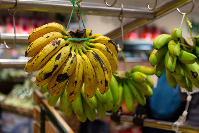 Close-up of fruit on plant for sale