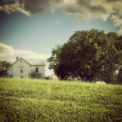 Trees on grassy field against cloudy sky