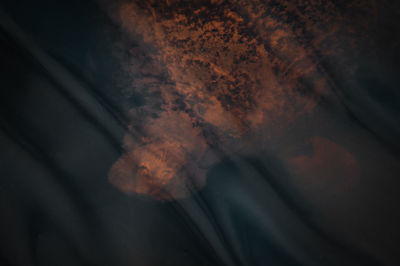 Close-up of rusty metal