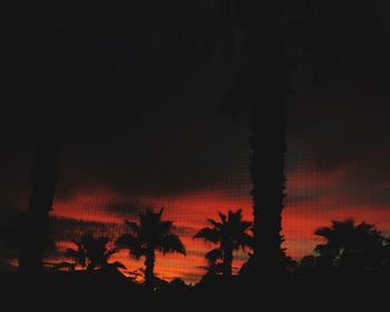 Silhouette palm trees against sky during sunset