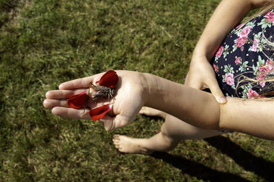 Grasshopper on girls hand