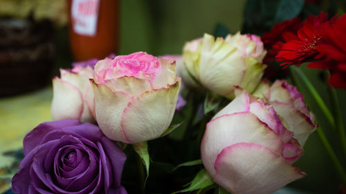 Close-up of pink roses