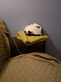 Close-up of man sleeping on bed at home