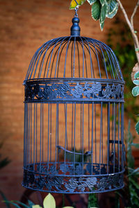 Close-up of lantern hanging in cage