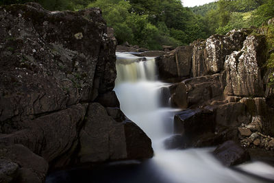 Scenic view of waterfall in forest