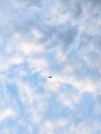 Low angle view of bird flying in sky