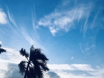 Low angle view of silhouette trees against blue sky