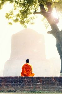 Rear view of monk sitting against dhamek stupa