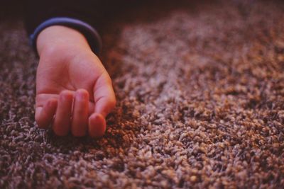 Low section of child on rug