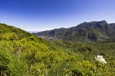 Scenic view of mountains against clear sky