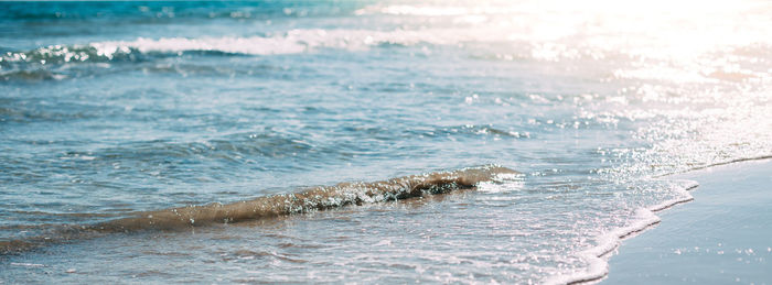 Waves splashing on shore