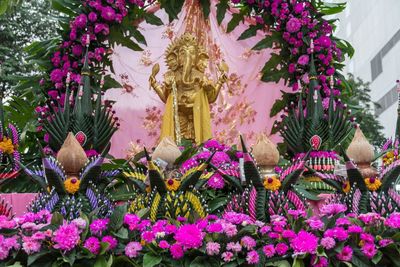 Close-up of purple flowers