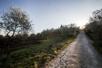 Road amidst trees against sky