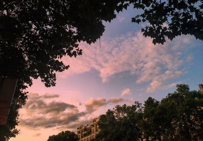 Low angle view of silhouette trees against sky