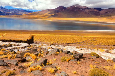 Scenic view of miscanti lake by mountains