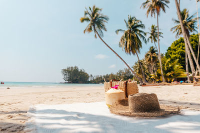 Palm trees on beach against clear sky