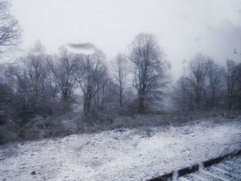 Bare trees on snow covered landscape