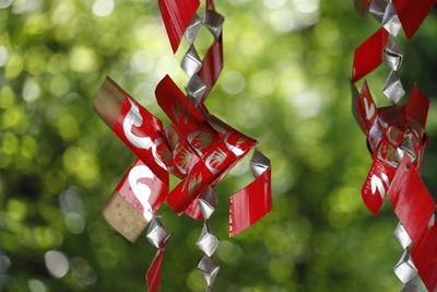 Close-up of red leaves hanging on tree