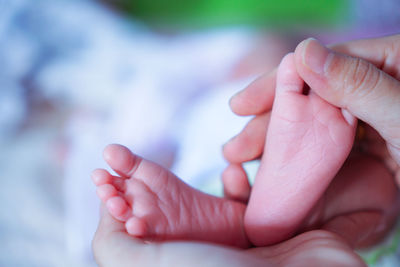Close-up of hands holding baby hand