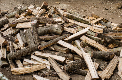 Stack of logs in forest