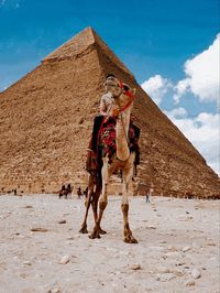 Horse on desert against sky