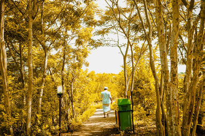 Rear view of man walking on road amidst trees