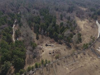 High angle view of trees on landscape