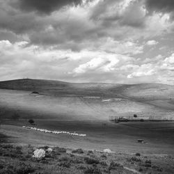 Scenic view of landscape against sky