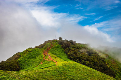 Mountain with green grass and thick clouds