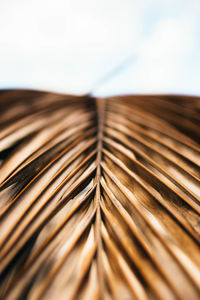 Close-up of open book against sky