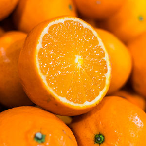 Close-up of orange