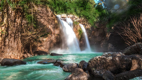 Scenic view of waterfall in forest