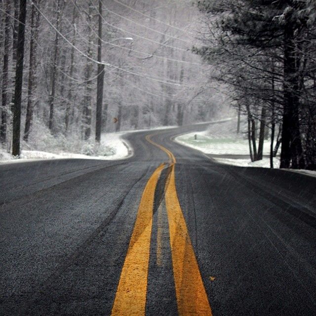 the way forward, transportation, road, diminishing perspective, vanishing point, tree, road marking, snow, winter, tranquility, country road, tranquil scene, cold temperature, nature, forest, empty road, beauty in nature, scenics, non-urban scene, season