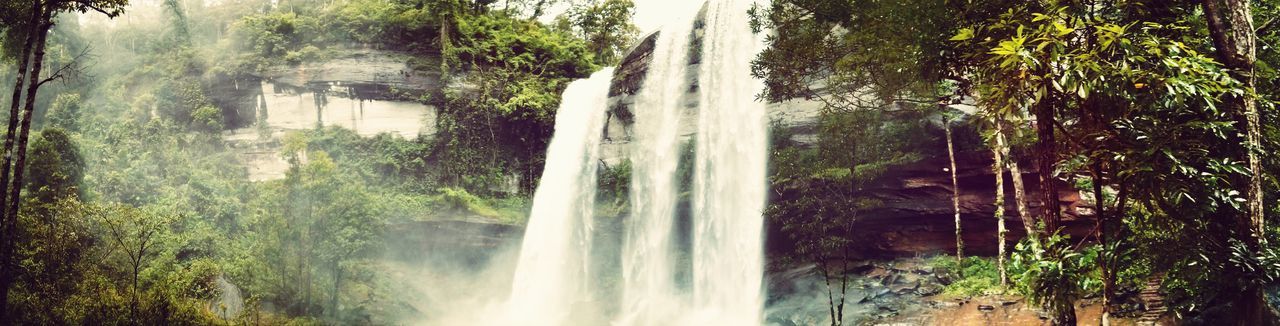 waterfall, water, motion, tree, long exposure, flowing water, forest, scenics, beauty in nature, flowing, nature, blurred motion, idyllic, tranquil scene, power in nature, tranquility, non-urban scene, rock - object, day, growth