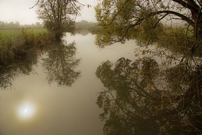 Reflection of trees in lake against sky